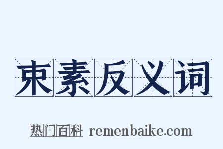 束素反义词是什么意思的图片